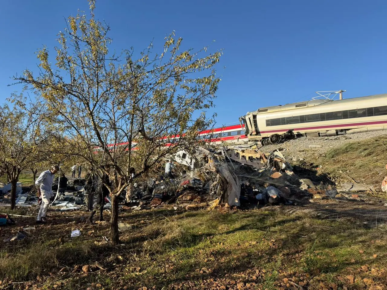 Crash-scene photo shared on social media; source and location not independently verified